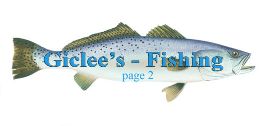 Giclees - Fishing