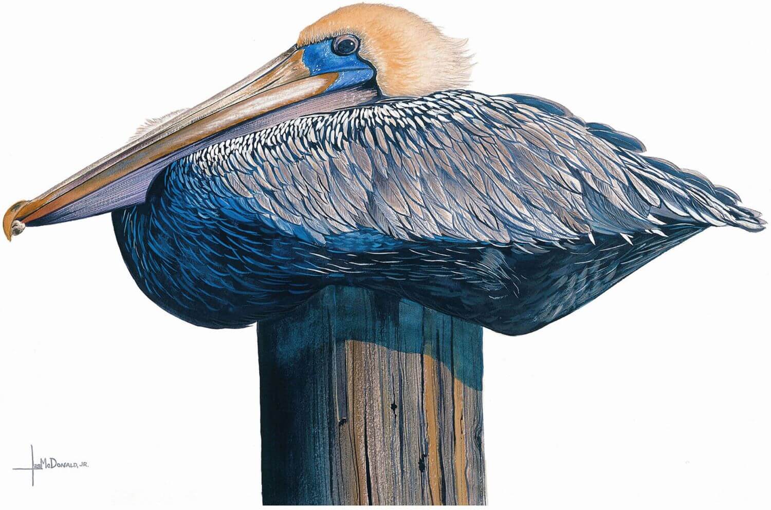 "Pelican Perch"